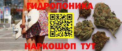 каннабис Будённовск