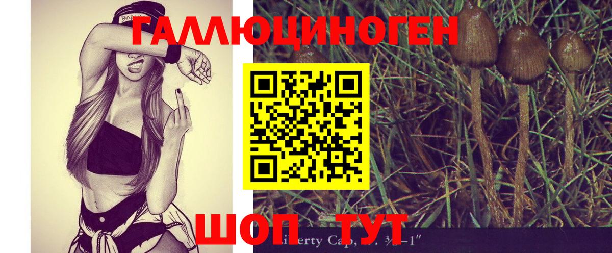 Сердобск  Псилоцибиновые грибы Psilocybe  Вход с VPN  Галлюциногенные грибы прущие грибы 